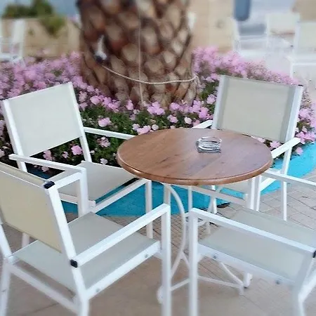 호텔 Oasis 3*