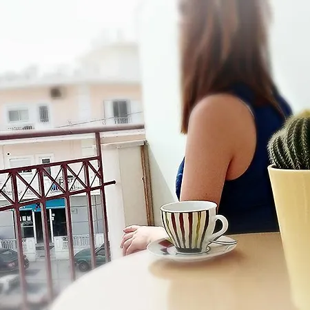 Hotel Oasis 3*